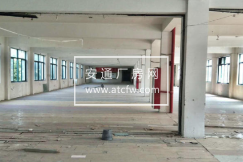 萧山区五康路1100方厂房出租