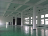 余杭区1800方厂房出售