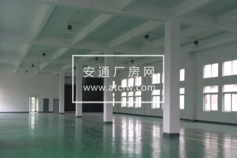 余杭区1800方厂房出售