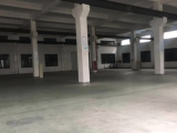 富阳区场口镇5000方厂房出租