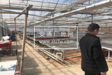 牟平区西郊路789号1200方仓库出租