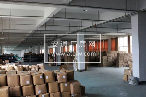 出租仓前工业园底层1800方带喷淋标准厂房