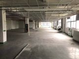 仓前底层2800方厂房出租