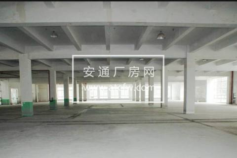 底层900方路边厂房