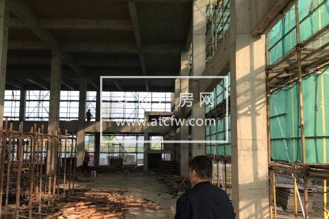 阿尔法产业园全新厂房 低至2950元/㎡ 19年9月交付 独栋户型