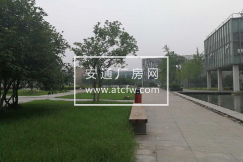 萧山机场高架高新三路3000方厂房出租