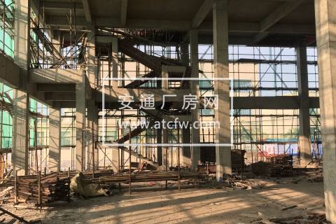 阿尔法产业园全新厂房 低至2950元/㎡ 19年9月交付 独栋户型