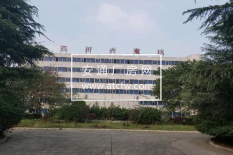 高新区新园南二路5000方厂房出租