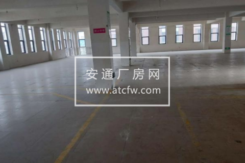 青白江区强静服饰1000方厂房出租