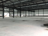 双流经济开发区2000方厂房出售