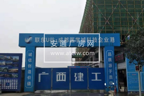 双流航空港工业园1300方厂房出售