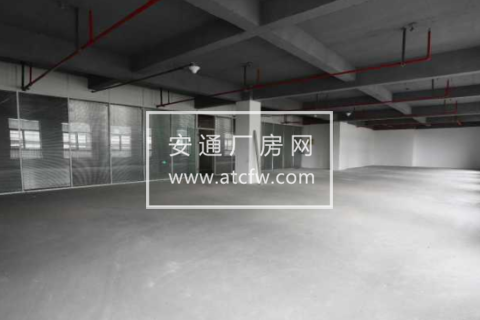 西湖区金蓬街3213000方厂房出租