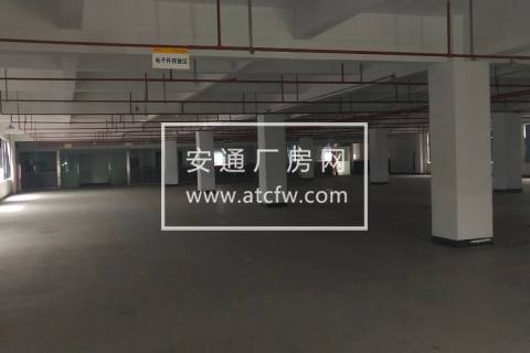 西湖云栖小镇内20000方厂房出租 可分割，带食堂宿舍