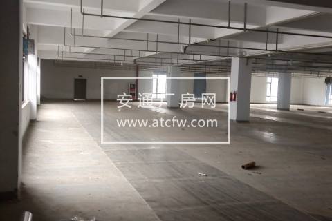 西湖云栖小镇内20000方厂房出租 可分割，带食堂宿舍