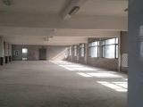 萧山新湾三新村1225号2000方厂房出租