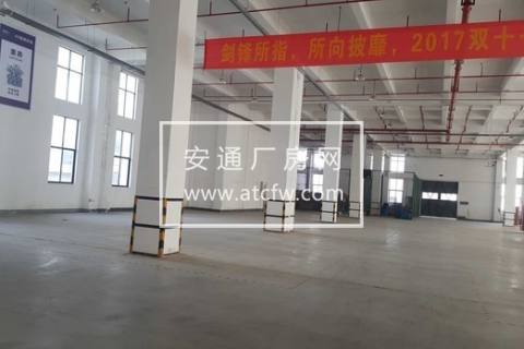 东洲5000方厂房出租