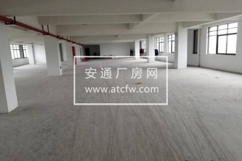 新登1400方厂房出租