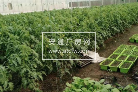 萧山党湾1200方土地出租