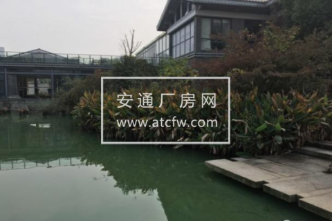 余杭区中央公园4800方土地出租