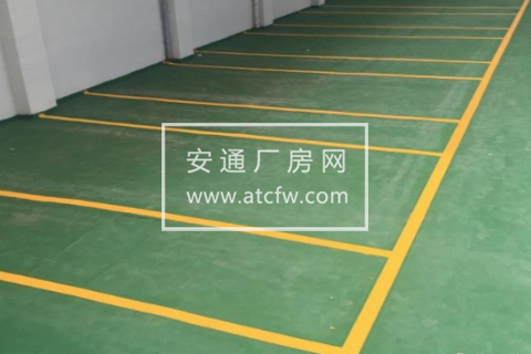 西昌区事故中队前800米800方厂房出租