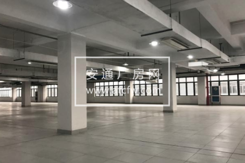 萧山钱农东路8号3200方厂房出租