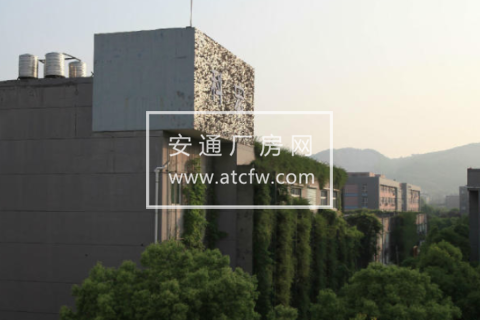 余杭区闲兴路29700方厂房出租