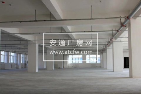 萧山区芝新线2500方厂房出租