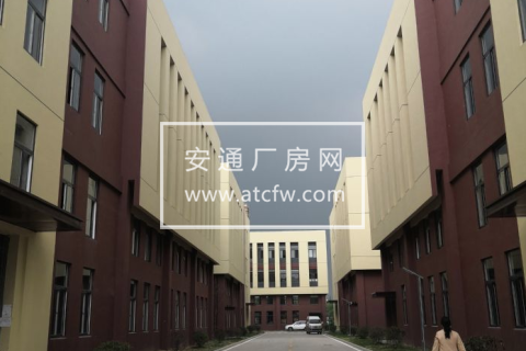 江宁区南京市六合经济开发区经六路1000方厂房出租