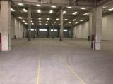 出租余杭仁和10000方标准月台库