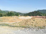 临安区青南村6660方土地出租
