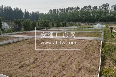 北京昌平20亩耕地出租（可分租）：距六环五公里