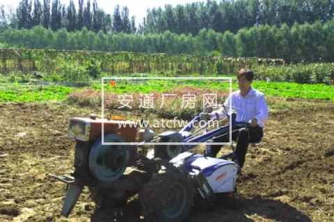 北京昌平20亩耕地出租（可分租）：距六环五公里