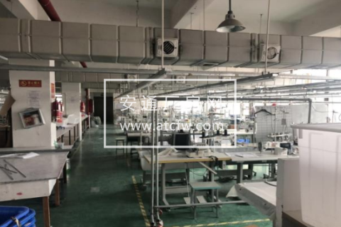 余杭区鑫业路26号1500方厂房出租