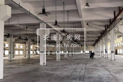 出租阳江高新区重点厂房，可整租可分租可仓库