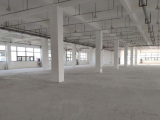 萧山萧清大道4500方厂房出租
