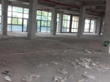 建德区浙江逸龙文创园1000方厂房出售