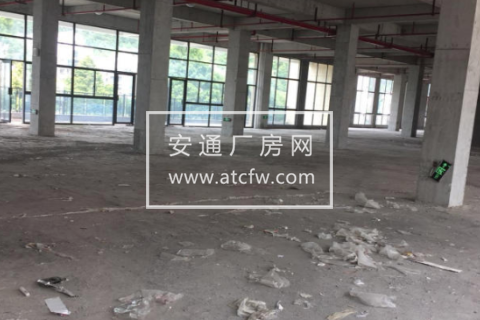 建德区浙江逸龙文创园1000方厂房出售