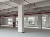 余杭区临平镇12000方厂房出租