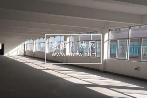 余杭区斯泰科技园1000方厂房出租