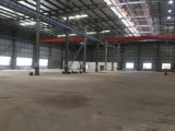 富阳区春建1800方厂房出租