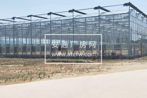 牟平区王从曲村11200方厂房出租