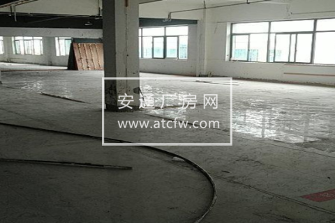 萧山新塘街道综合体大楼五楼 600方厂房出租