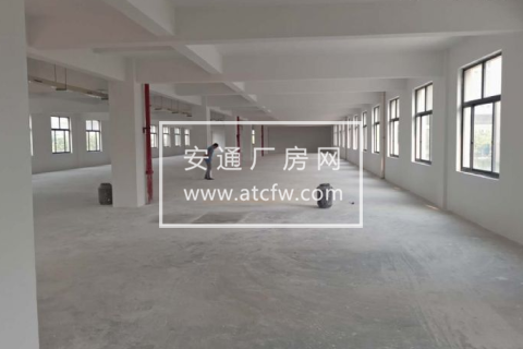 萧山机场高速下鸿宁路1500方厂房出租