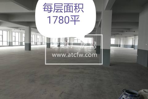 许村轻纺城320国道边上新建独栋厂房