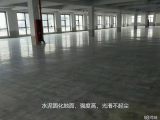 许村轻纺城320国道边上新建独栋厂房