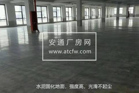 许村轻纺城320国道边上新建独栋厂房