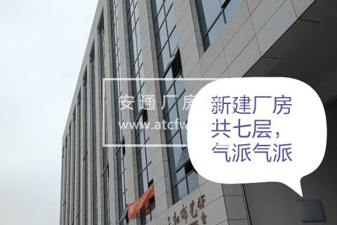 许村轻纺城320国道边上新建独栋厂房