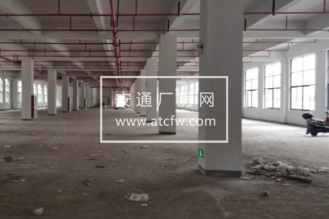 余杭区塘栖镇1800方厂房出租