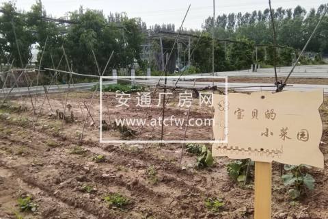 北京昌平区10亩小菜园分租：距六环五公里