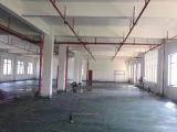 出租萧山城东全新厂房6000方可做电商仓库工厂